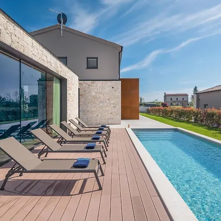 Design Palmeta Bale